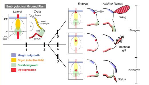 Ref: Niwa, N. et al (2010)