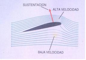 Ref: Investigación y ciencia, Agosto 2001