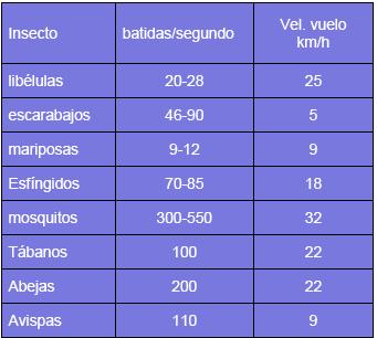 Ref: material docente de la asignatura Zoología