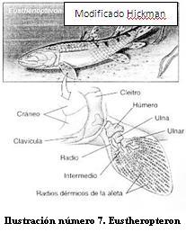 imagen_numero_siete_paso_a_tierra.JPG