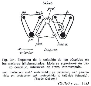 external image Figura321-1.jpg