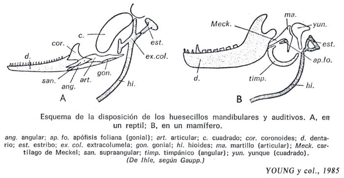 external image fig324-1.jpg